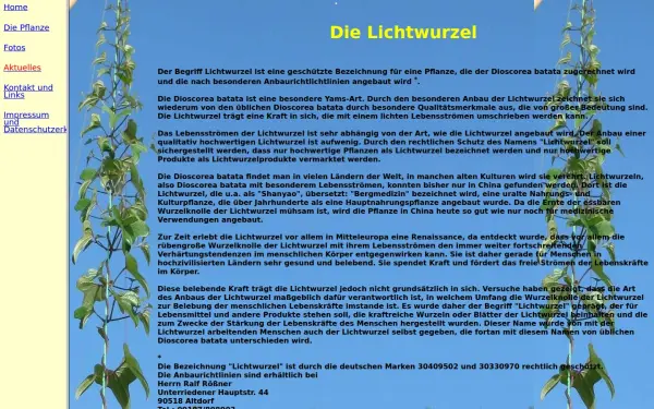 lichtwurzel.de