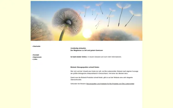 www.anstaendigeinkaufen.de