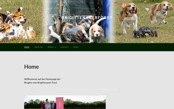 beaglezuechter.at