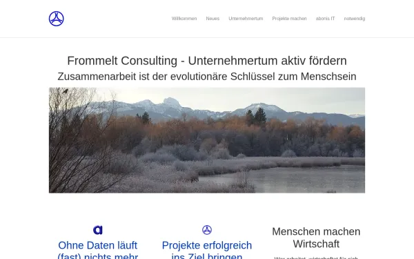 frommelt.consulting