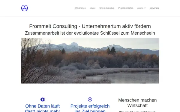 frommelt.consulting