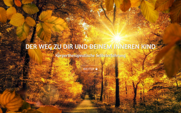 medise.de
