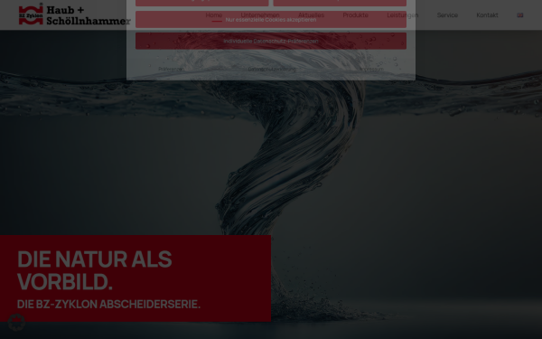 www.haub-schoellnhammer.de