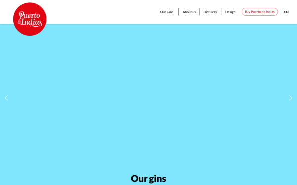ginpuertodeindias.com