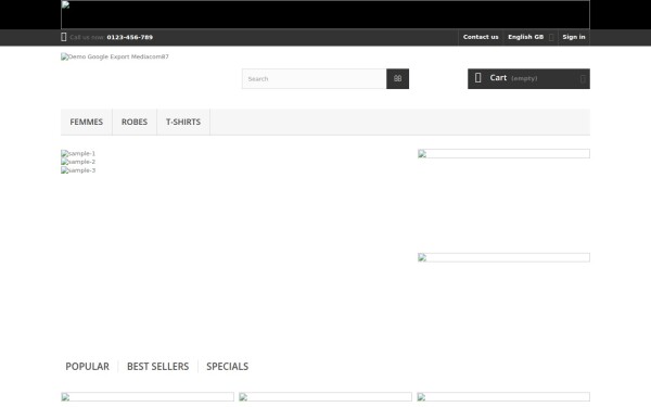 demo-googleexport.mediacom87.com