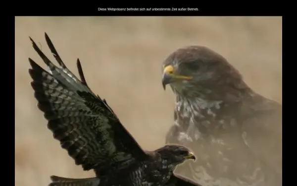 haiko-christopher.de