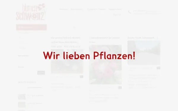 www.blumen-schwarz.de