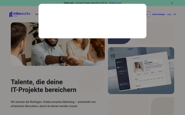 www.tribeworks.de