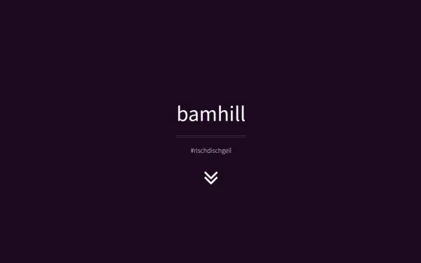 www.bamhill.de