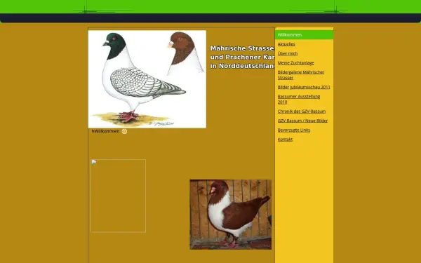 maehrische-strasser-nordd.de
