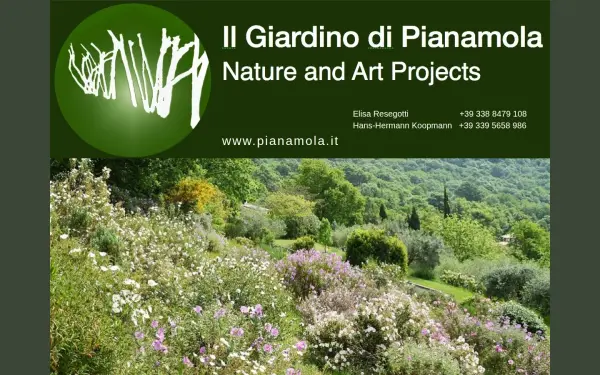 www.pianamola.it