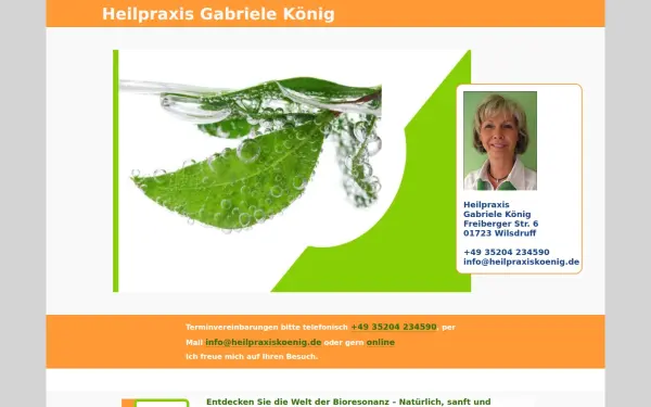 heilpraxiskoenig.de