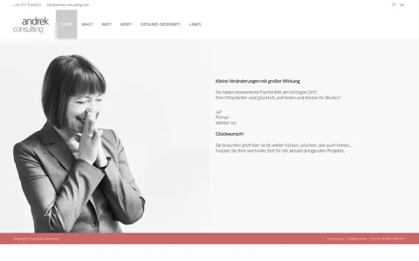 andrek-consulting.com