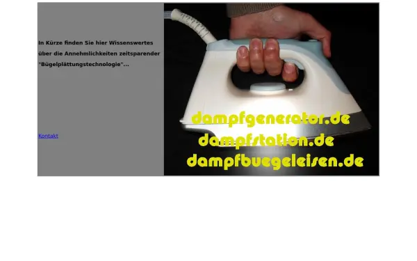 dampfbuegeleisen.de