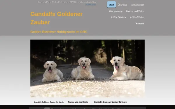 golden-gandalf.de