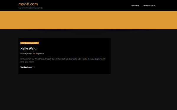 msv-h.com