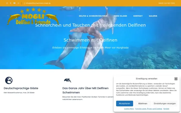 delfinschwimmen-mogli.de