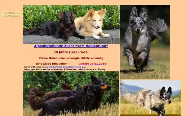 alpenhuetehunde.de