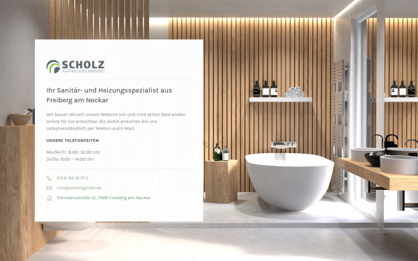 scholzgmbh.de