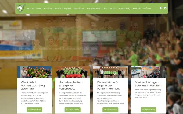 pulheim-hornets.de