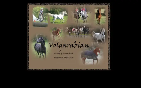 volgarabian.com