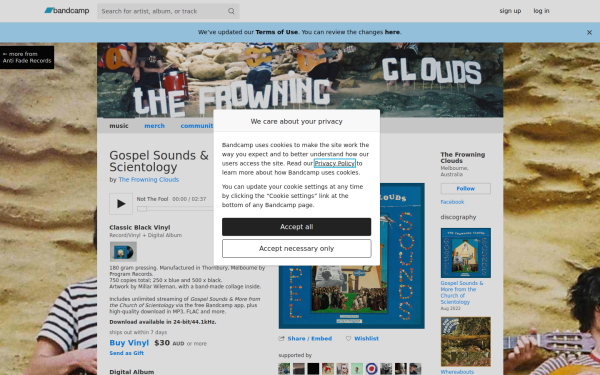 thefrowningclouds.bandcamp.com
