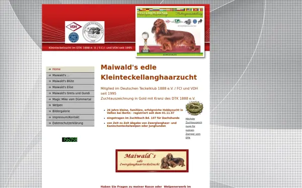 maiwalds-zwerglanghaarteckel.de