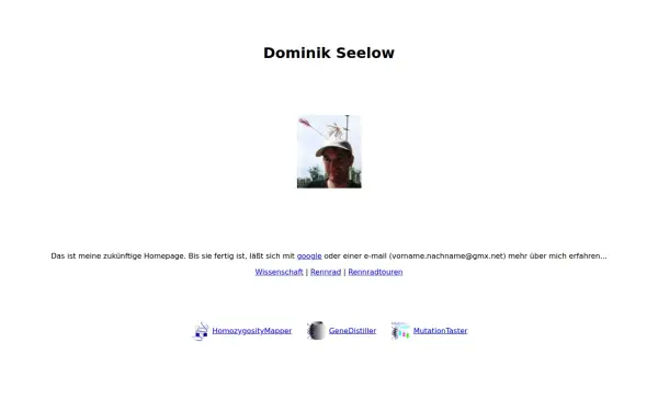 dominikseelow.de