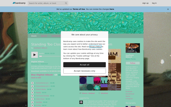 ssseafoamwalls.bandcamp.com