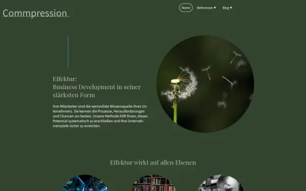www.commpression.de