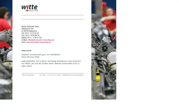 heinzwitte-consulting.de