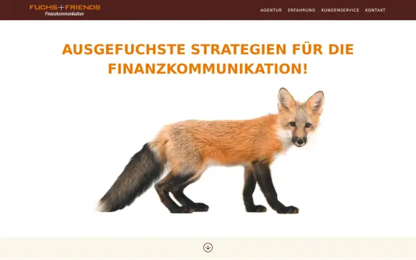 dieausgefuchsten.de