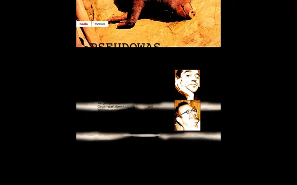 pseudowas.de