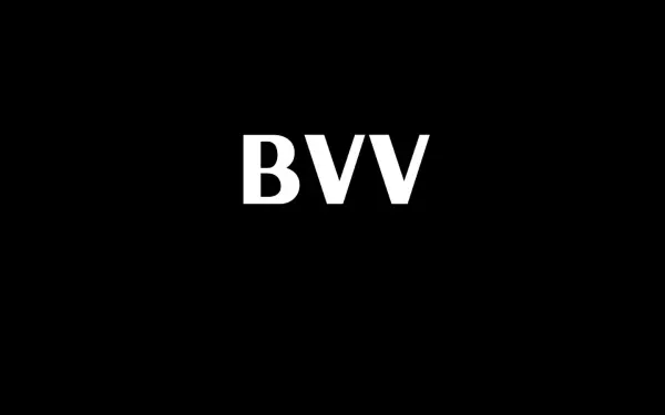 b-v-v.de