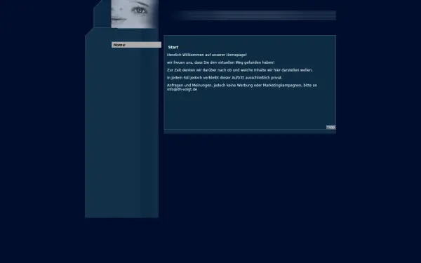 dh-voigt.de