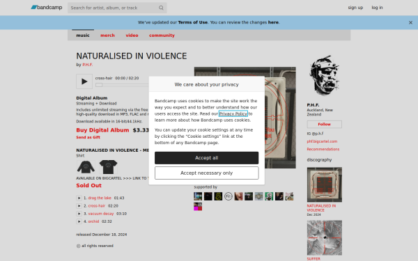 perfecthairforever.bandcamp.com
