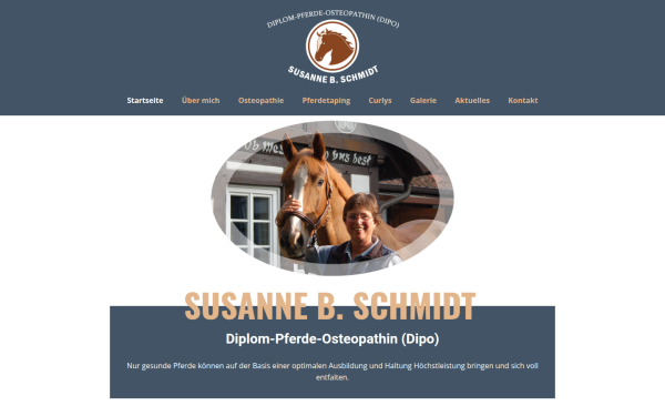 susannebschmidt.de