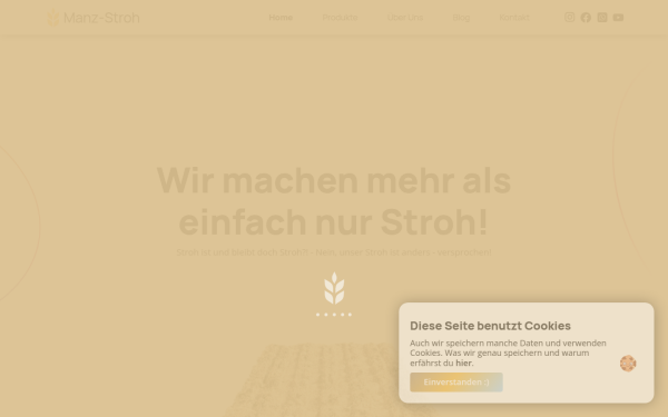 www.manz-stroh.at