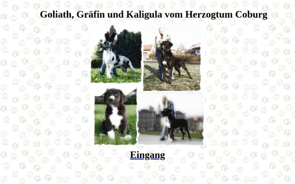 doggenpower.de
