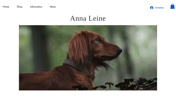 www.anna-leine.de