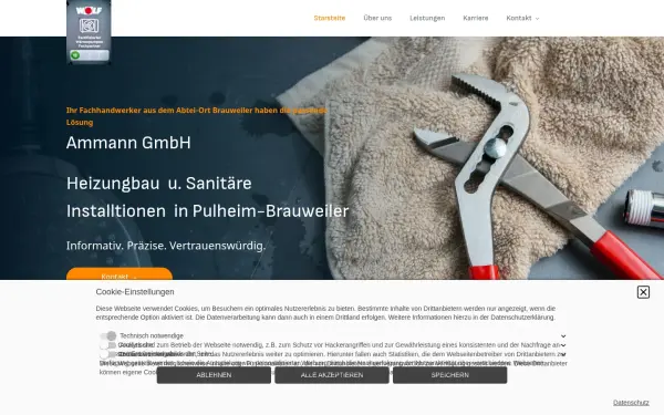 ammanngmbh.de