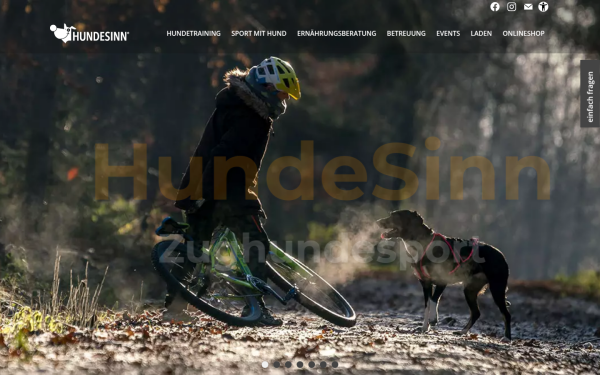 www.hundesinn.de