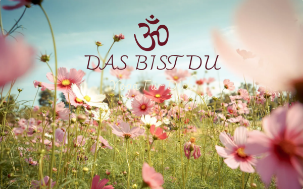 www.dasbistdu.de