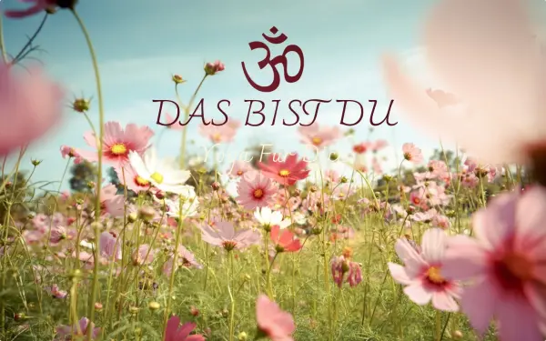 www.dasbistdu.de