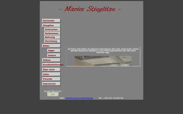 marios-stieglitze.de