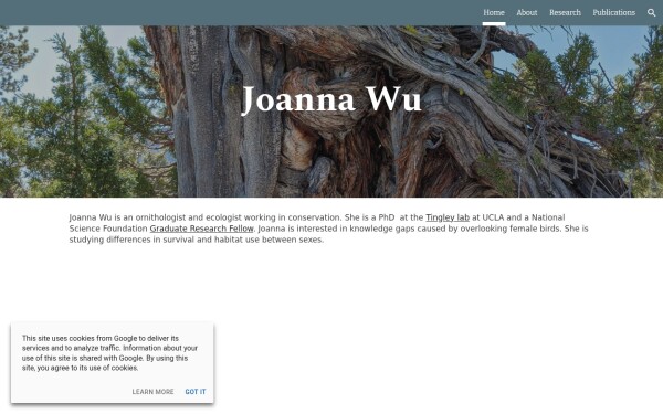 www.joannaxwu.com