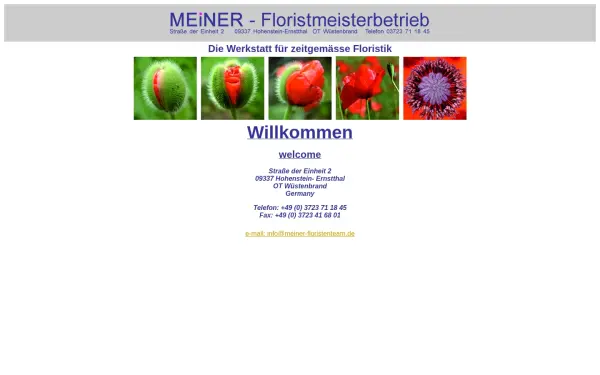 meiner-floristenteam.de