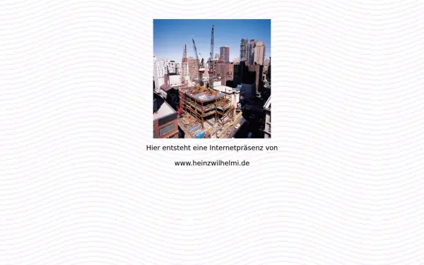 heinzwilhelmi.de