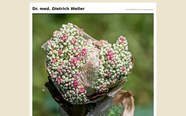 dietrich-weller.de