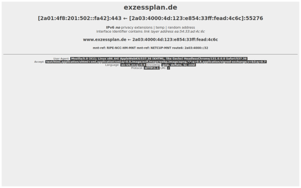 exzessplan.de